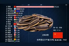 都嗑过瓜子，但瓜子产量哪国最多，要看前苏联两个国家视频封面
