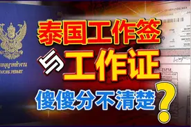 泰国工作证与工作签有什么区别？是先有鸡还是先有蛋？有什么用？视频封面