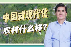 中国式现代化里的农村是什么样？郑风田：五大方面需要追上城市视频封面
