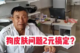 狗有螨虫浑身掉毛发红，赶紧找老兽医，只花了2块钱搞定视频封面