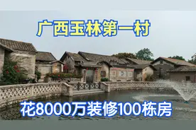 广西玉林第一村，农民年收入3万，花8000万装修100栋房给外地人看视频封面