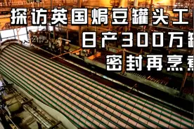 探访英国焗豆罐头工厂，一天生产300万罐，需密封再烹煮视频封面
