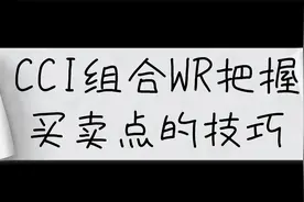 妙用CCI组合WR指标把握买卖点的技巧视频封面