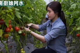 越南这么穷，为什么居民生活很幸福？看越南农村就明白了视频封面