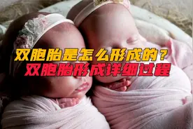 双胞胎是怎样形成的？双胞胎形成详细讲解。视频封面
