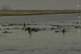 纪录片：河流与生命4-恒河（国语）视频封面