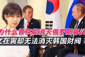 为什么普京能消灭俄罗斯寡头，文在寅却无法消灭韩国财阀视频封面
