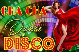 迪斯科恰恰舞曲金曲合集 Disco Cha Cha Nonstop