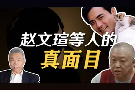司马南：间谍汉奸不止在电视剧里,警惕赵文瑄等人的真面目视频封面