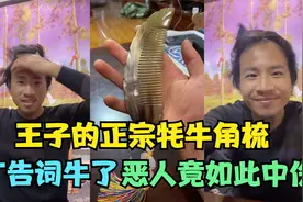 王子卖正宗牦牛角梳，这广告词牛了，然而恶人竟如此中伤视频封面