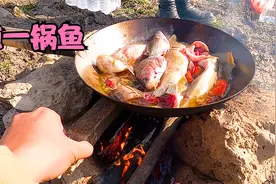 北大荒水里下网打鱼抓鱼，鱼扔岸上炖鱼，吃河鲜喝烧酒真美！视频封面