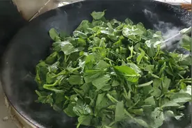 工地的做饭阿姨，1分钟就可以炒一大锅青菜，每月4000工资值不值视频封面