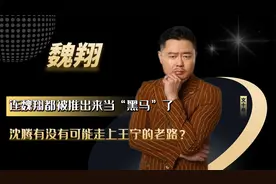 沈腾红了，魏翔火了，“出走”开心麻花的王宁，后悔了吗？