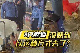 活螃蟹不让带踩死就通过了？规矩是死的，人是活的！视频封面