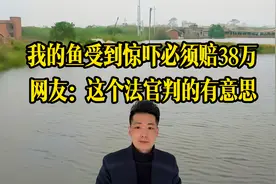 你们施工吓到我的鱼，必须赔38万，不然法庭见！结局让网友大呼爽视频封面