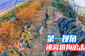 当你被一只狼狗疯狂追击，该怎么办？第一视角跑酷带你逃离！视频封面