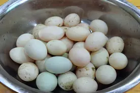 咸鸭蛋正确的腌制方法，流油起沙的诀窍分享给你，简单到一看就会