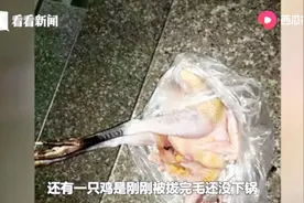 心疼！家中鸡鸭兔莫名失踪，民警调监控抓人，鸡被找到时毛都没了视频封面