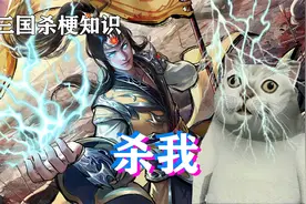 三国杀游戏梗知识：杀我视频封面