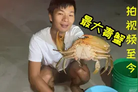 小湾在塘基边放大招，用老鼠笼抓到拍视频以来最大的青蟹，上集视频封面