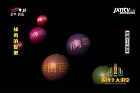 蜜蜂的蜂毒 不仅具有抗病毒杀菌的作用 还有消除肿瘤功效