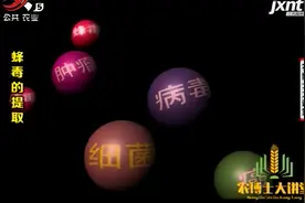 蜜蜂的蜂毒 不仅具有抗病毒杀菌的作用 还有消除肿瘤功效
