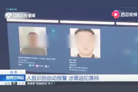 公安人脸识别系统真“牛”！自动报警发现涉黑逃犯并成功抓获视频封面