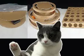 猫咪在家无聊？教你用硬纸板做三个猫咪玩具，超级简单手工激励月视频封面