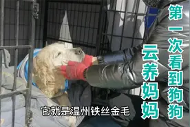 当云养妈妈第一次看见狗狗，她激动的哭了，那一幕让人感动！