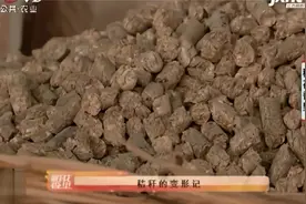 水稻秸秆大变身！回收后制成颗粒燃料，经济环保还有助于农户增收视频封面