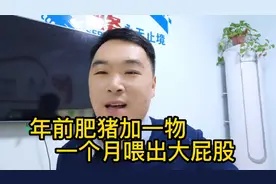 肥猪怎么喂长的快？150-180斤肥猪年前出栏！视频封面