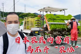 日本农民为啥那么富有？“农协”起到了很关键的作用，听威威咋说视频封面