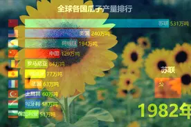 瓜子产量最多的10个国家，别误会，我是去乌克兰嗑瓜子的！视频封面