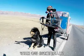 陕北小伙拖车进藏，带了一只藏獒做保镖，吃住全在拖车里视频封面
