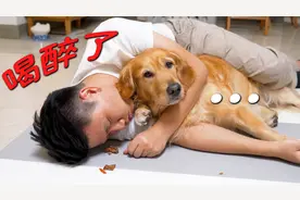 小伙子喝喜酒喝大了，回家发酒疯吓坏狗狗！视频封面