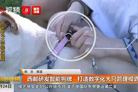西邮研发智能狗牌 打造数字化犬只管理模式视频封面