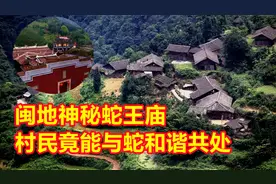 福建山区神秘百年蛇王庙，村民与蛇和谐共处，每年赛蛇神游蛇灯视频封面