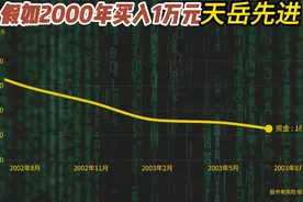 2000年买入1万天岳先进，分红再买入，如今是不是赚翻了！视频封面
