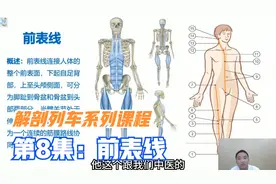 西医前表线和中医胃经相似，从功能，组成，相关肌肉等给您讲解视频封面