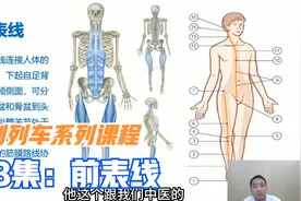 西医前表线和中医胃经相似，从功能，组成，相关肌肉等给您讲解视频封面