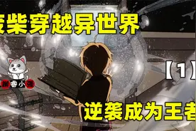 34岁老宅男转生成一个宝宝，从此走向了人生巅峰！大家直呼666视频封面