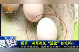 稀奇！鸡蛋壳长“皱纹”，到底能不能吃？视频封面