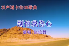 双声道卡拉OK歌曲《别怕我伤心》伴奏抖音全网张信哲推荐经典怀旧视频封面