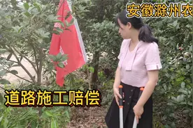 安徽农村道路施工扩宽，占地的树木怎么办？道路施工赔偿怎么算？视频封面