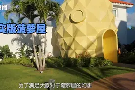 真实存在的卡通房子，现实版菠萝屋！爱了 爱了视频封面