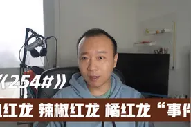 254号 血红龙 辣椒轰隆 橘红龙的来龙去脉视频封面