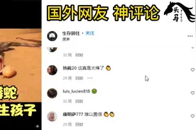 第一次见蟒蛇生孩子！视频封面