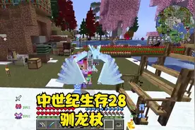 做出驯龙杖，冰龙终于听话了！天骐我的世界中世纪生存28集视频封面