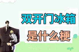 双开门冰箱是什么梗？视频封面