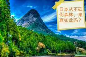 日本为了环保，从不砍伐森林，木材全从中国进口，事实果真如此吗视频封面